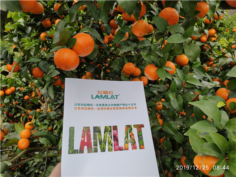 磷酸二氫鉀，鈣肥，硼肥