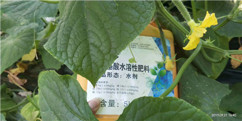 水溶肥，翠姆