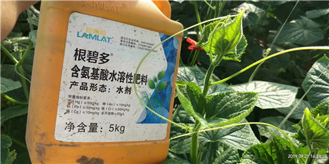 水溶肥，翠姆