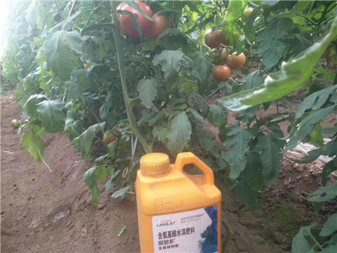 根碧多，微生物菌劑