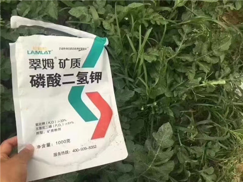 磷酸二氫鉀，硼肥，沖施肥