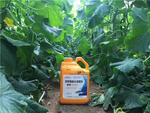 水溶肥，翠姆