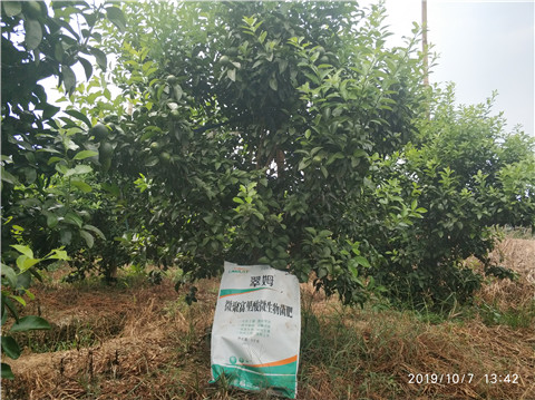 微生物菌劑，拉姆拉