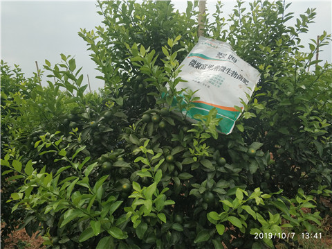 微生物菌劑，拉姆拉