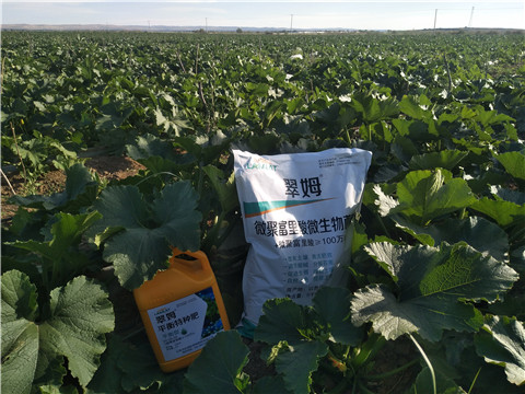 微生物菌劑，磷酸二氫鉀