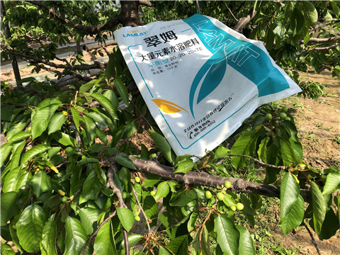 大量元素水溶肥，磷酸二氫鉀，硼肥