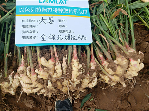 水溶肥，微生物菌劑，拉姆拉