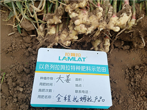 水溶肥，微生物菌劑，拉姆拉