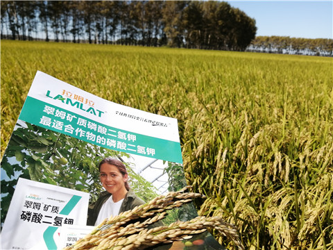 葉面肥，磷酸二氫鉀，安碧解