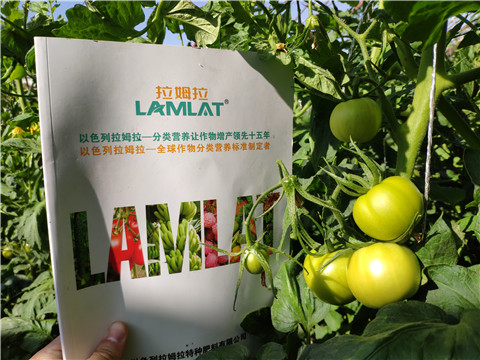 微生物菌劑，拉姆拉，伯示麥