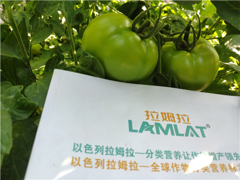 微生物菌劑，拉姆拉，伯示麥