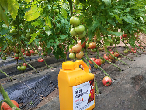 水溶肥，磷酸二氫鉀