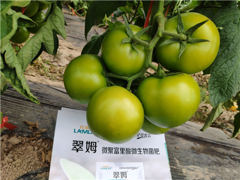 葉面肥，微生物菌劑，磷酸二氫鉀