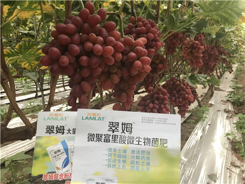 微生物菌劑，硼肥，鈣肥