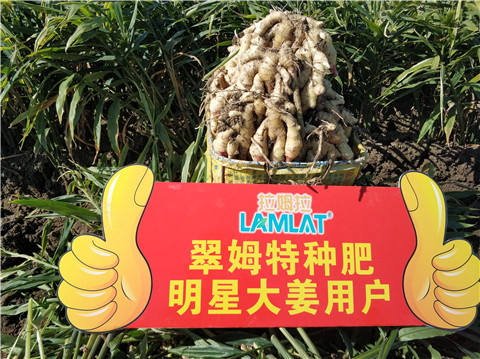 微生物菌劑，拉姆拉