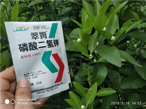 磷酸二氫鉀，硼肥，拉姆拉