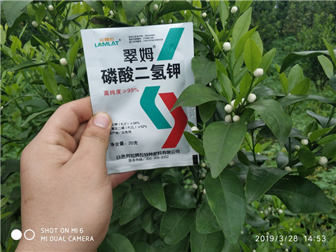 磷酸二氫鉀，硼肥，拉姆拉