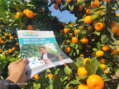 磷酸二氫鉀，硼肥，拉姆拉