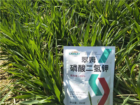 磷酸二氫鉀，葉面肥，拉姆拉