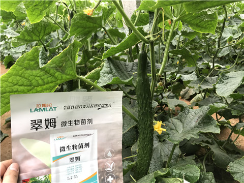 微生物菌劑，水溶肥，拉姆拉