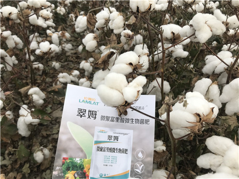 微生物菌劑，根碧多，拉姆拉