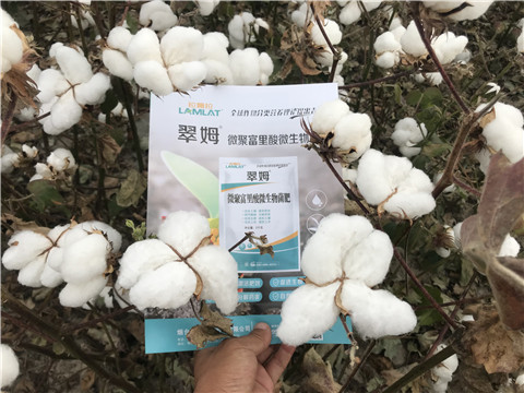 微生物菌劑，根碧多，拉姆拉