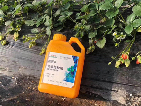 根碧多，微生物菌劑，拉姆拉