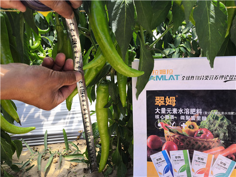 水溶肥，拉姆拉