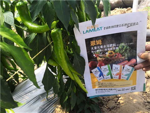 水溶肥，拉姆拉