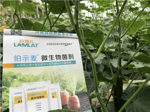 微生物菌劑，生根劑，拉姆拉