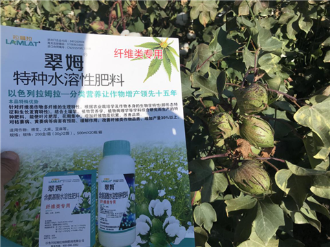 葉面肥，拉姆拉