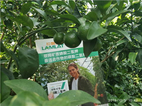 磷酸二氫鉀，拉姆拉