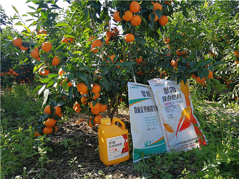 水溶肥，拉姆拉