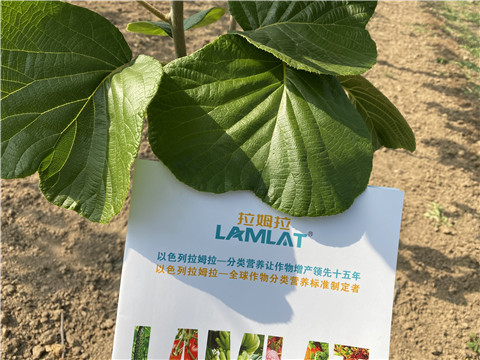 大量元素水溶肥，拉姆拉