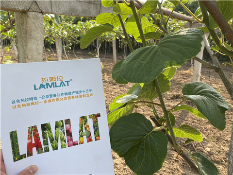 大量元素水溶肥，拉姆拉