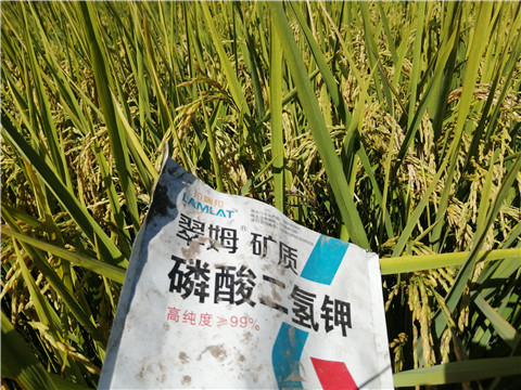 磷酸二氫鉀，翠姆，拉姆拉