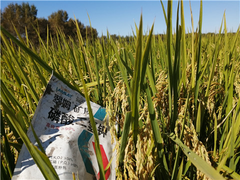 磷酸二氫鉀，翠姆，拉姆拉