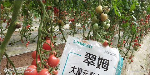 水溶肥，翠姆，拉姆拉