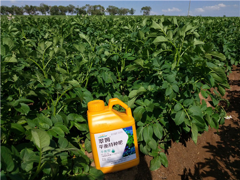 水溶肥，翠姆，拉姆拉