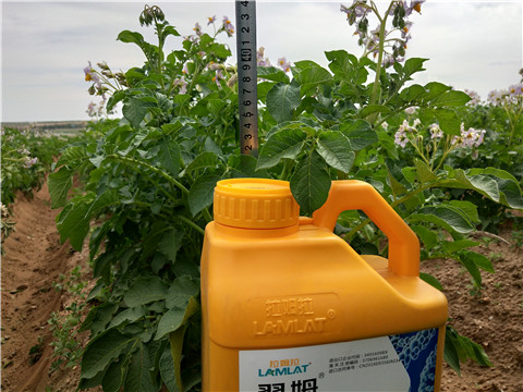 水溶肥，翠姆，拉姆拉
