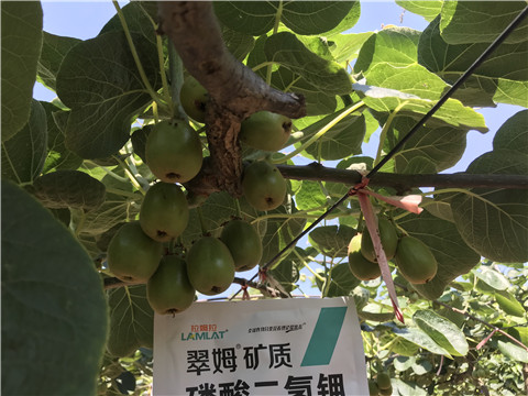 磷酸二氫鉀，拉姆拉