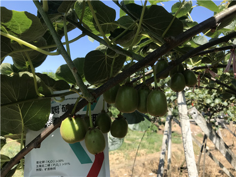 磷酸二氫鉀，拉姆拉