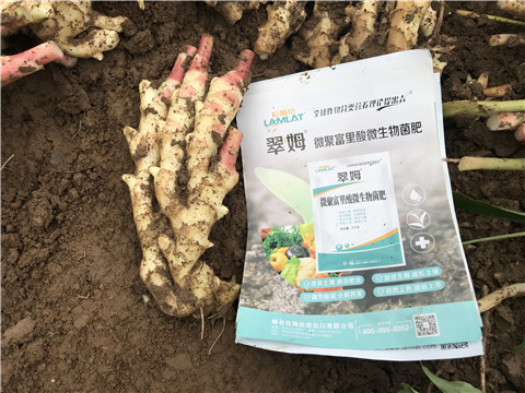 微生物菌劑，翠姆，拉姆拉