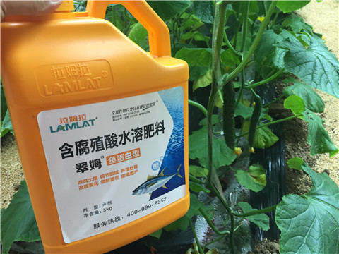 生根劑，魚蛋白水溶肥，拉姆拉