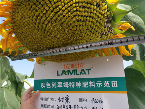 水溶肥，微生物菌劑，拉姆拉