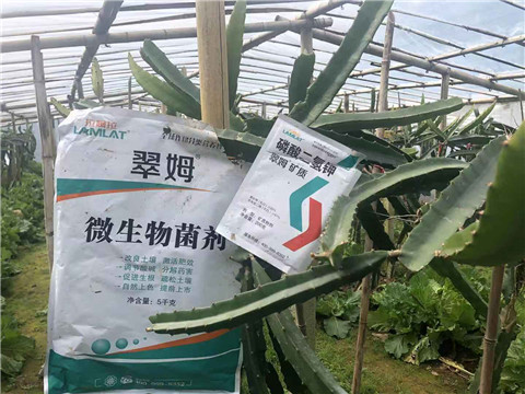 磷酸二氫鉀，翠姆，拉姆拉