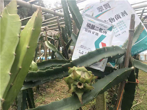 磷酸二氫鉀，翠姆，拉姆拉