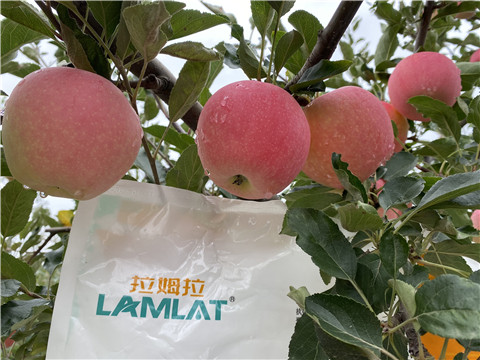 水溶肥，翠姆，拉姆拉