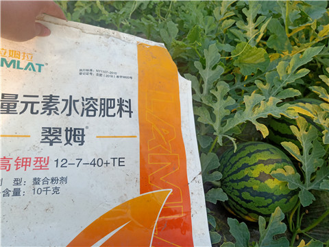 水溶肥，拉姆拉，翠姆