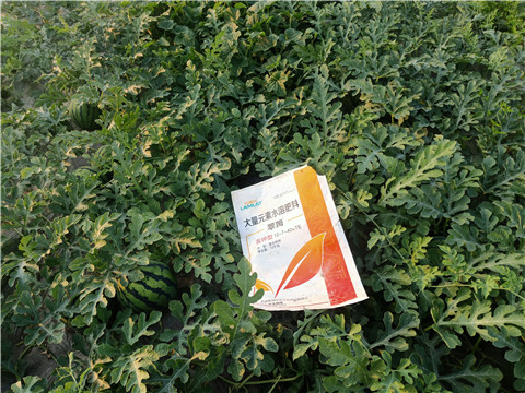 水溶肥，拉姆拉，翠姆